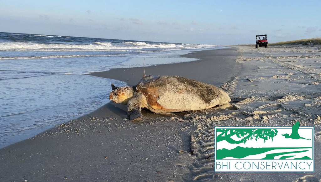 Bald Head Island Conservancy Partnership